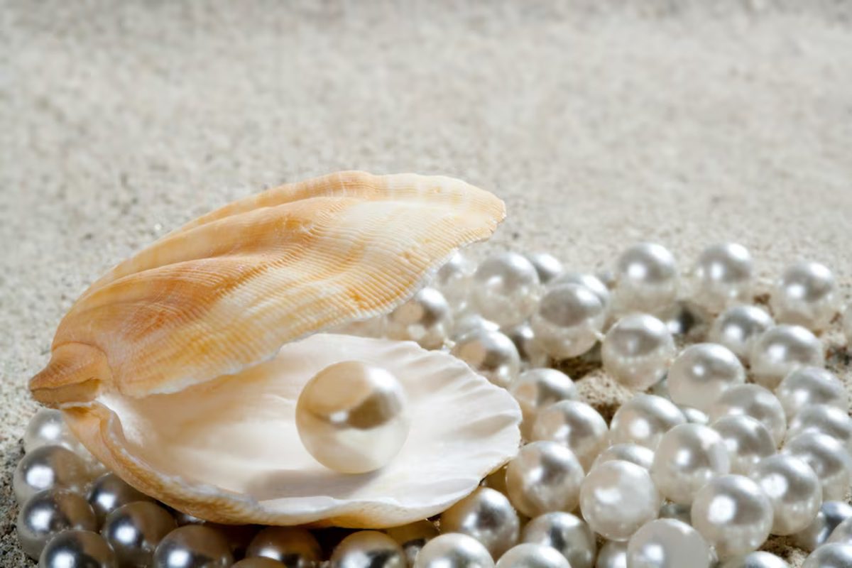 Perle huître